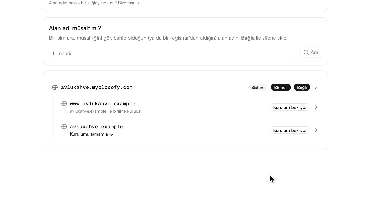 Ayarlar'daki Alan adları ekranında bir alan adının doğrulama adımları ve SSL durumu görünüyor.